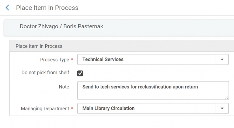 An image of the Place Item in Process screen with data entered into all fields