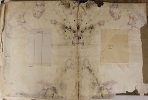 Mold on book