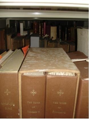 White mold on book