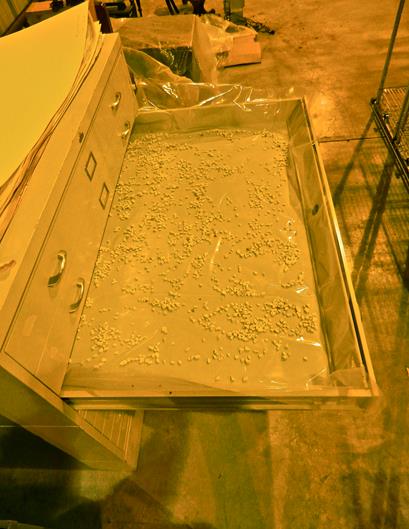 Gonzo Odor Eliminator in flat file drawer